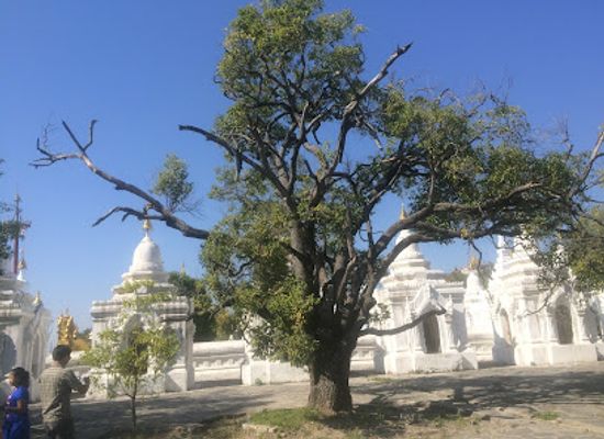 myanmar-burma/ayeyarwady-region/landmark/kuthodaw-pagoda