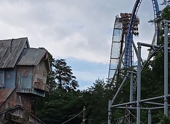 tennessee/dollywood/landmark/dolly-s-tennessee-mountain-home