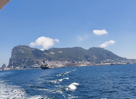 gibraltar/upper-rock-nature-reserve/landmark/dolphin-adventure