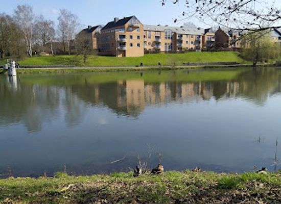 belgium/louvain-la-neuve/landmark/lac-de-louvain-la-neuve