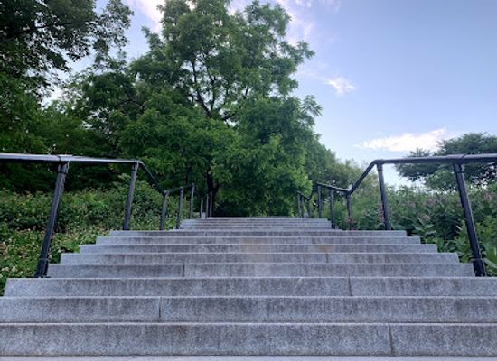 canada/monteregie/landmark/rue-peel-steps