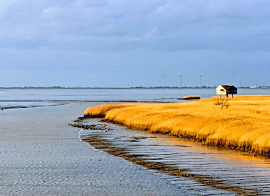 netherlands/wadden-islands/landmark/de-kiekkaaste