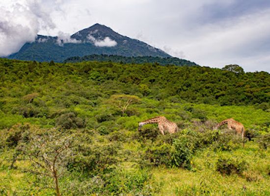 tanzania/mahale-mountains/landmark/arusha-national-park