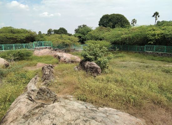india/tamil-nadu/landmark/pallavas-cave