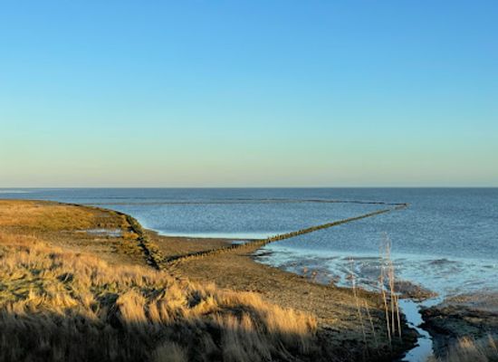 netherlands/texel-island/landmark/de-schorren