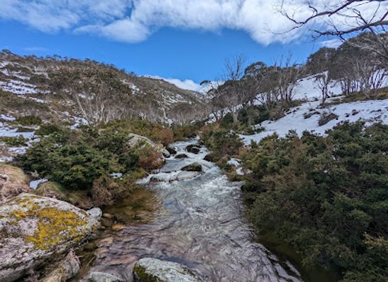 australia/kosciuszko-national-park/landmark/dead-horse-gap-walking-track