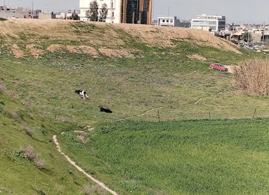 iraq/mosul/landmark/southern-wall-of-nineveh-ancient-city