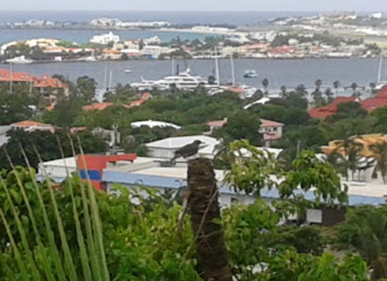 sint-maarten/cole-bay/landmark/carib-swim-pool