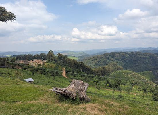 rwanda/mutara/landmark/nyungwe-forest-national-park