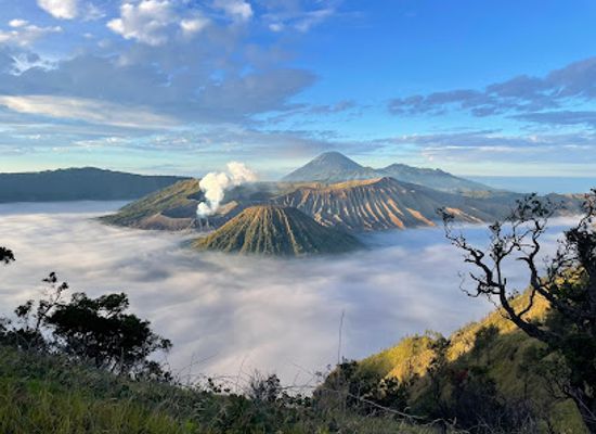 indonesia/mount-bromo/landmark/puncak-b29