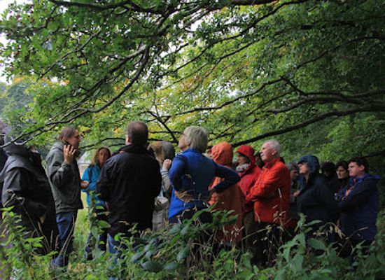 ireland/county-carlow/landmark/blackstairs-eco-centre