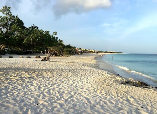 aruba/eagle-beach/landmark/arubus-stop-eagle-beach