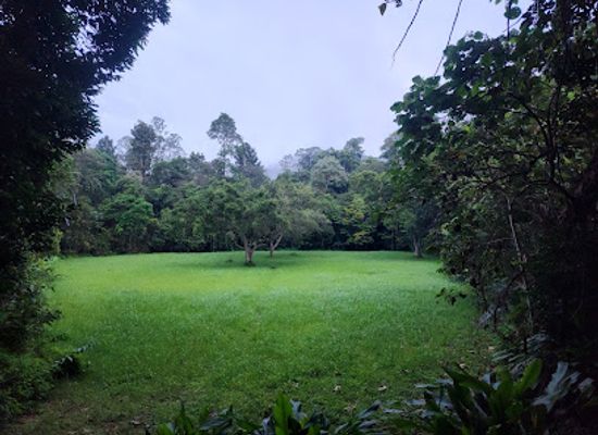 malaysia/taman-negara-national-park/landmark/taman-negara-pahang-salt-lick-tahan-hide