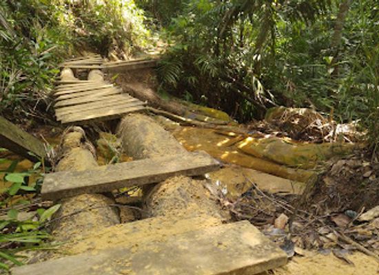 brunei/labu-forest-reserve/landmark/bukit-shahbandar-forest-recreation-park