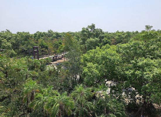 india/sundarbans/landmark/karamjal