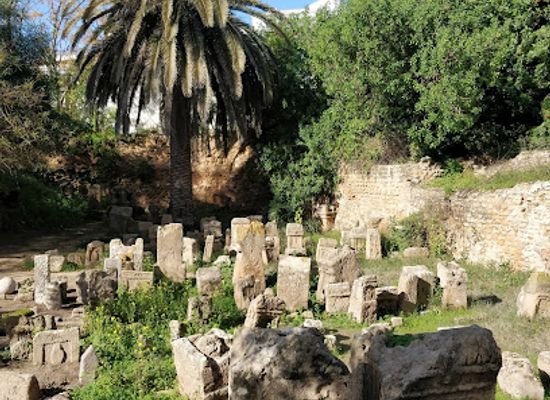 tunisia/the-cap-bon-peninsula/landmark/salammbo-tophet
