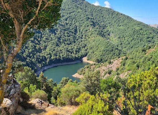 france/corsica/landmark/cascade-sant-albertu-cascata-sant-albertu