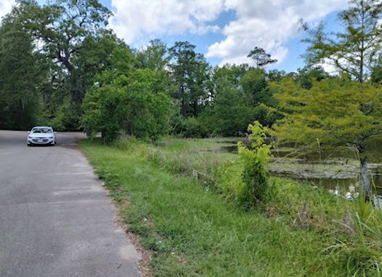 texas/piney-woods/landmark/martin-dies-jr-state-park