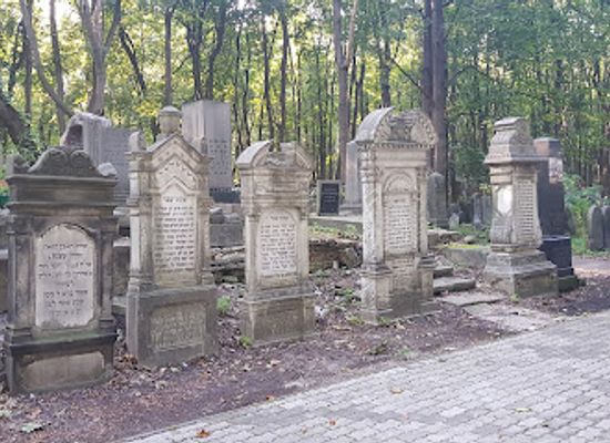 poland/kuyavia/landmark/jewish-cemetery