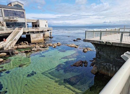 california/monterey/landmark/monterey-bay-aquarium