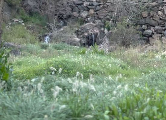 saudi-arabia/al-baha/landmark/shalal-alhalwah-balhabish