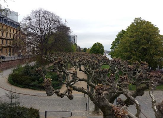 germany/hesse/landmark/holbeinsteg