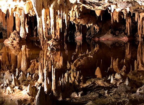virginia/luray-caverns/landmark/the-rope-adventure-park-at-luray-caverns