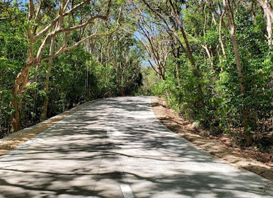 philippines/visayas/landmark/salagdoong-forest
