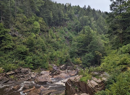 west-virginia/dolly-sods-wilderness/landmark/blackwater-falls-boardwalk