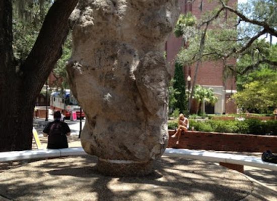 florida/north-florida/landmark/turlington-rock