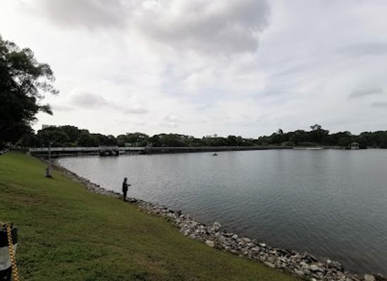 singapore/north-region/landmark/macritchie-prunus-trail
