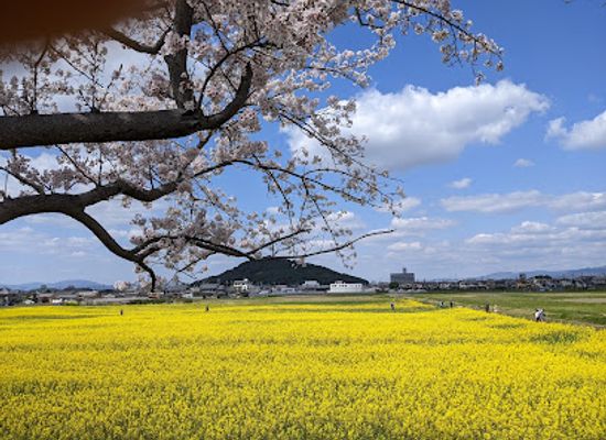 japan/nara-countryside/landmark/fujiwara-palace-ruins
