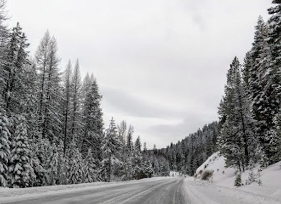 oregon/malheur-county/landmark/malheur-national-forest