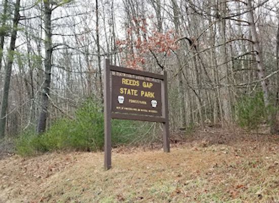pennsylvania/bald-eagle-state-park/landmark/bald-eagle-state-forest-reeds-gap-unit