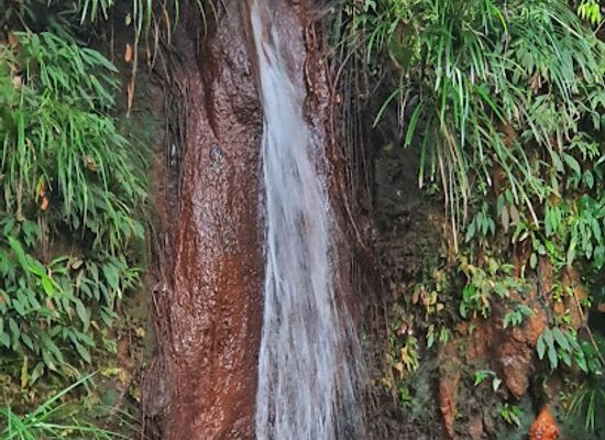 brunei/brunei-muara-district/landmark/wasai-buang-tengkurok