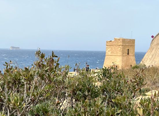 malta/zurrieq/landmark/blue-grotto-boat-service