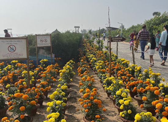 india/puri/landmark/golden-beach