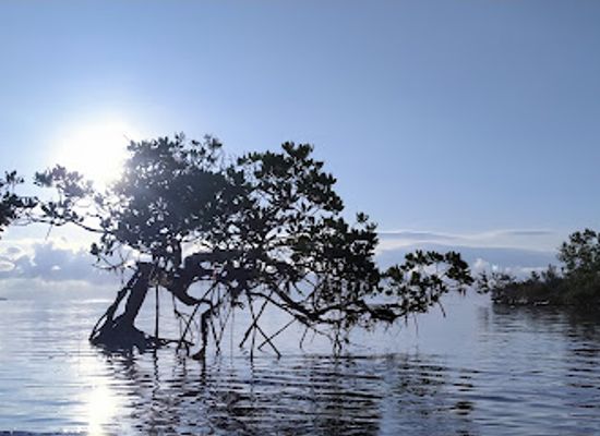 philippines/western-visayas/landmark/baras-iki