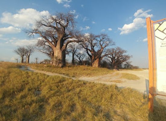 botswana/makgadikgadi-pans/landmark/nxai-pan-national-park