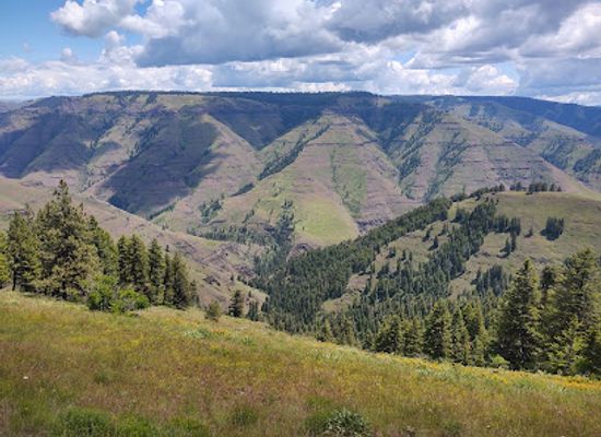 oregon/wallowa-county/landmark/joseph-canyon-viewpoint