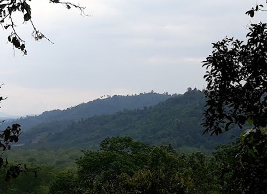 india/nagaland/landmark/deopahar-archaeological-site