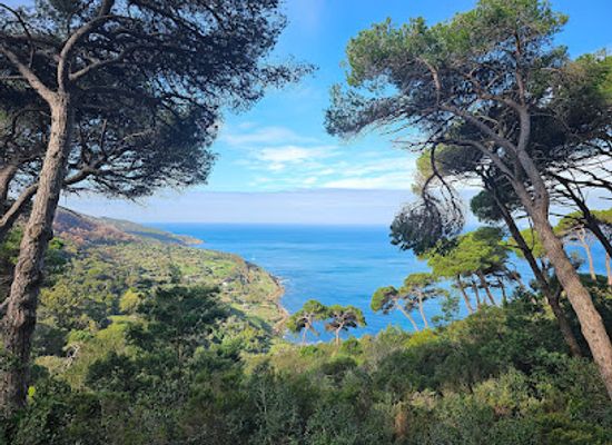 morocco/tangier-region/landmark/rmilat-park