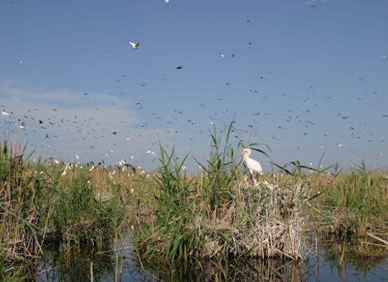 azerbaijan/kura-aras-lowland/landmark/agh-gol-national-park