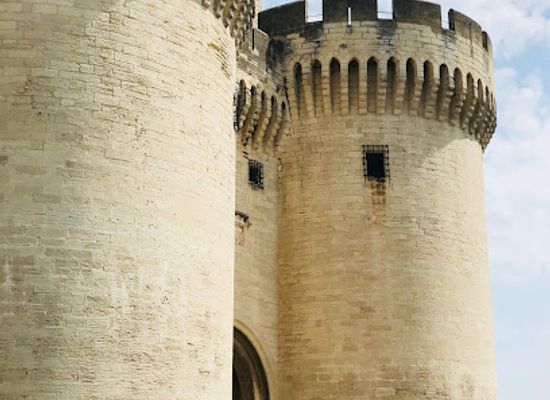 france/provence/landmark/fort-saint-andre