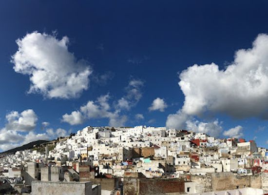 morocco/tetouan/landmark/green-olive-arts