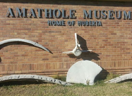 south-africa/amatola-mountains/landmark/amathole-museum-trends