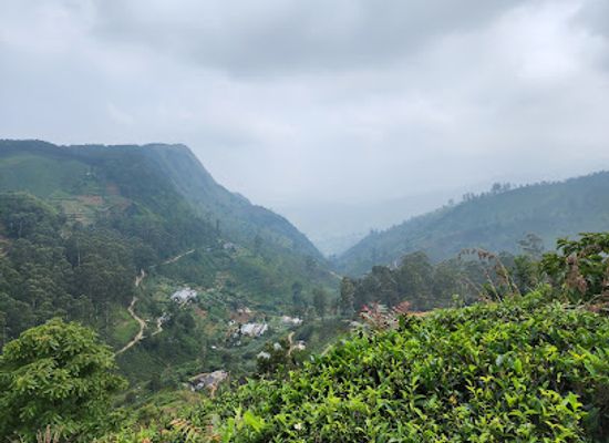 sri-lanka/nuwara-eliya-district/landmark/viewpoint