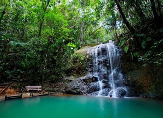 fiji/central-division/landmark/colo-i-suva-forest-park