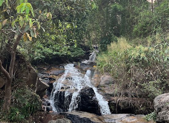 thailand/doi-suthep-pui-national-park/landmark/huai-kaeo-trail