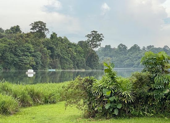 singapore/macritchie-reservoir/landmark/zohan-pump-room